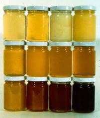honey colors